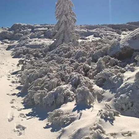 בקתה Casa Ferreira סאבוגיירו