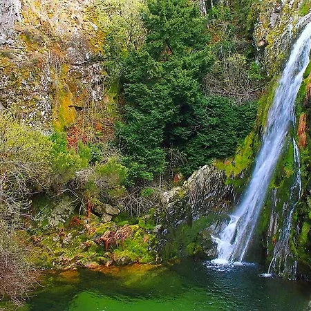 Casa Ferreira 木屋