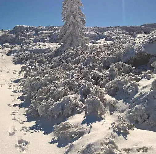 Chalé Casa Ferreira Sabugueiro (Guarda)