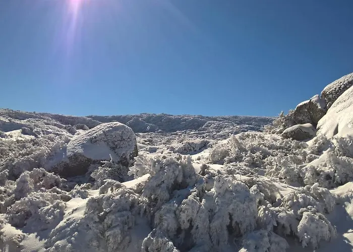 Chalé Casa Ferreira