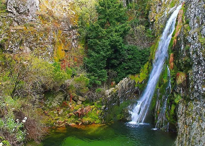 Casa Ferreira Chalé
